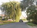 Vertrek ochtendrit van 55 km